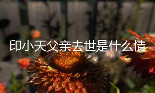 天父得了病小天印小 印世是什么什么亲去情况父亲