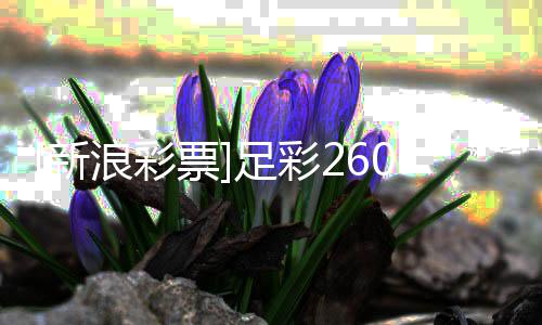票浪彩罗姆投注特新策略足彩瑟赢9期球